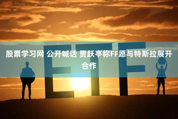 股票学习网 公开喊话 贾跃亭称FF愿与特斯拉展开合作