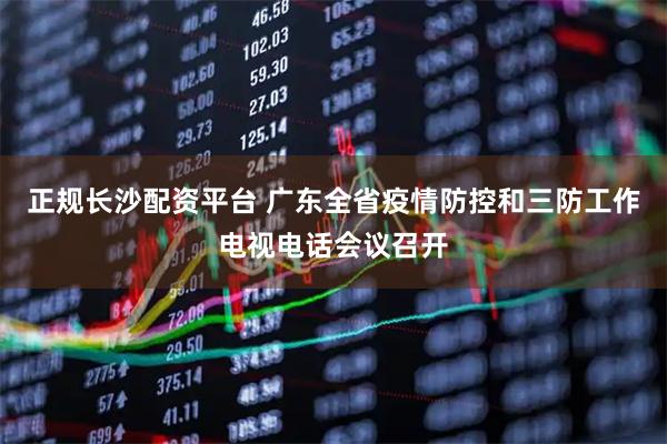 正规长沙配资平台 广东全省疫情防控和三防工作电视电话会议召开